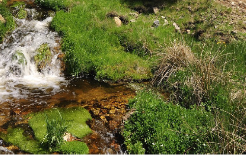Ruisseau bordé de mousses et de touffes d'herbe, dévalant entre les blocs de granite sur le plateau de la Margeride.